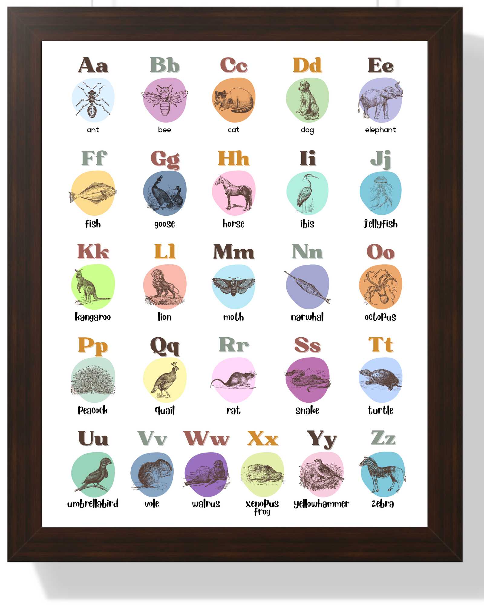 Colorful Animal Alphabet Framed Print - Educational Wall Art for Kids Semi Glossy Brown