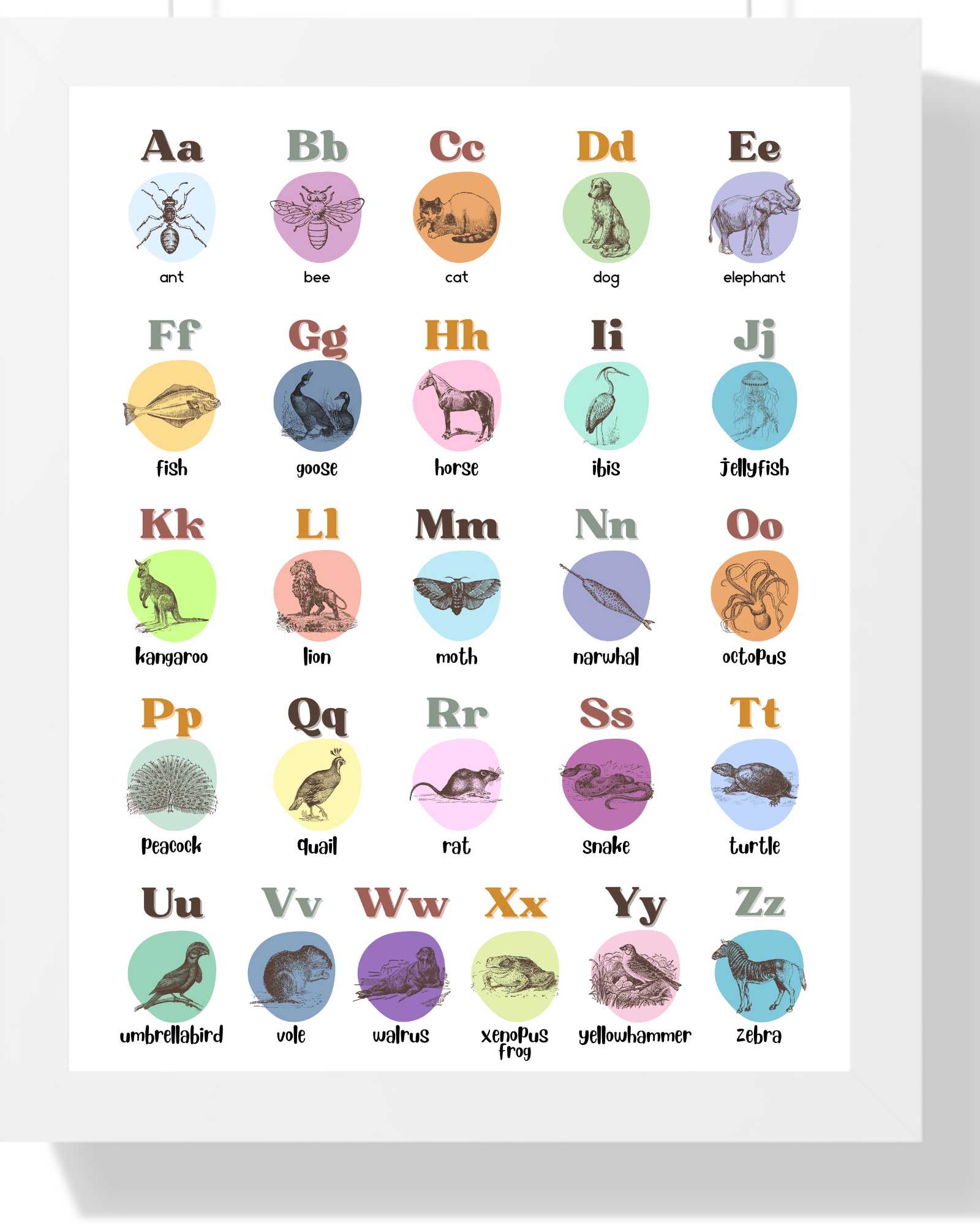Colorful Animal Alphabet Framed Print - Educational Wall Art for Kids Semi Glossy White