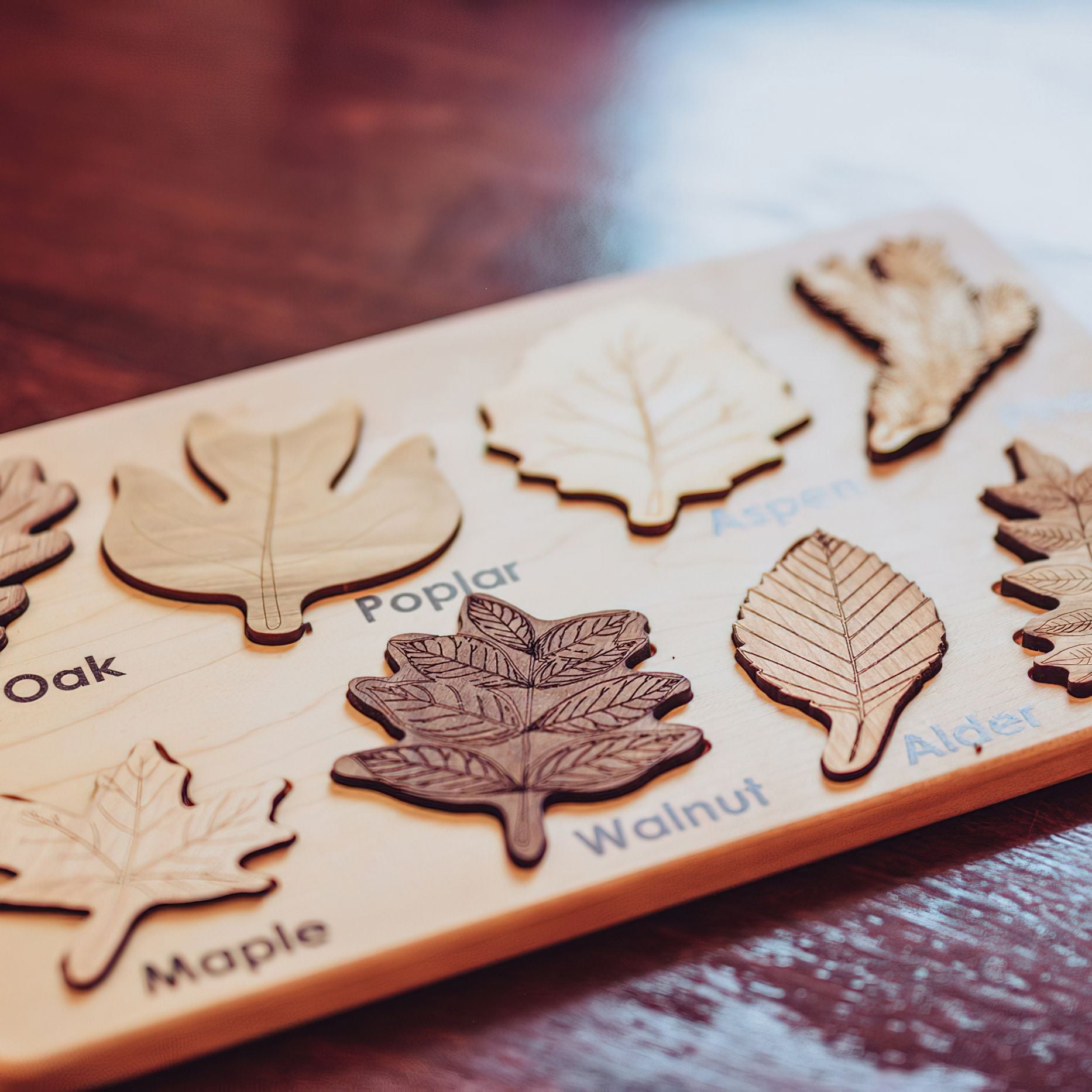 Leaf Specimen Puzzle - Woodwork Toys