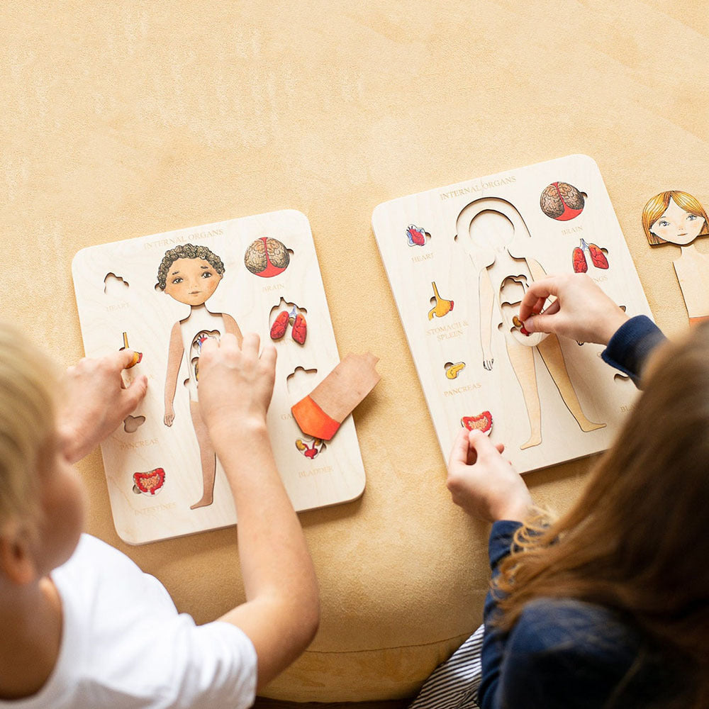 Human Organ Matching Puzzle - Woodwork Toys