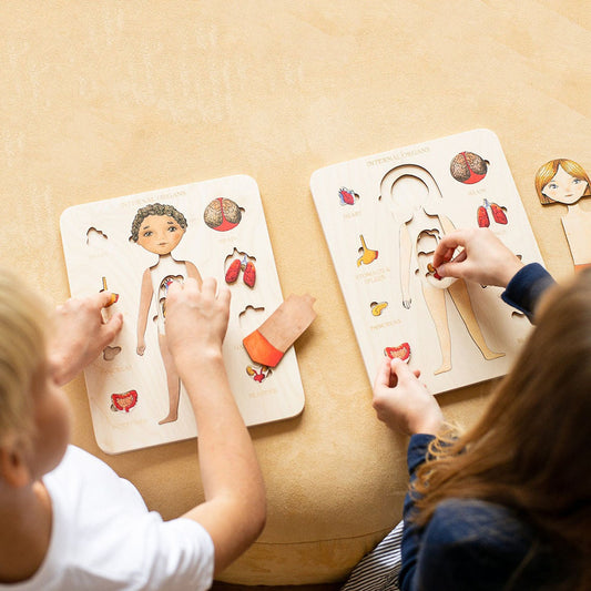 Human Organ Matching Puzzle - Woodwork Toys