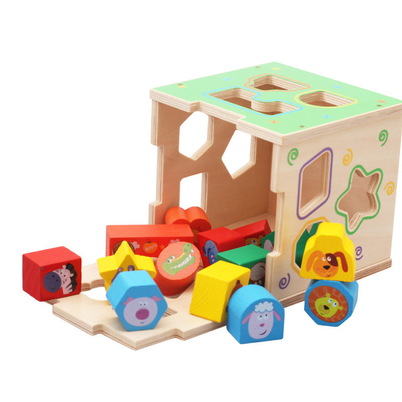 Shape Matching Intelligence Box - Woodwork Toys