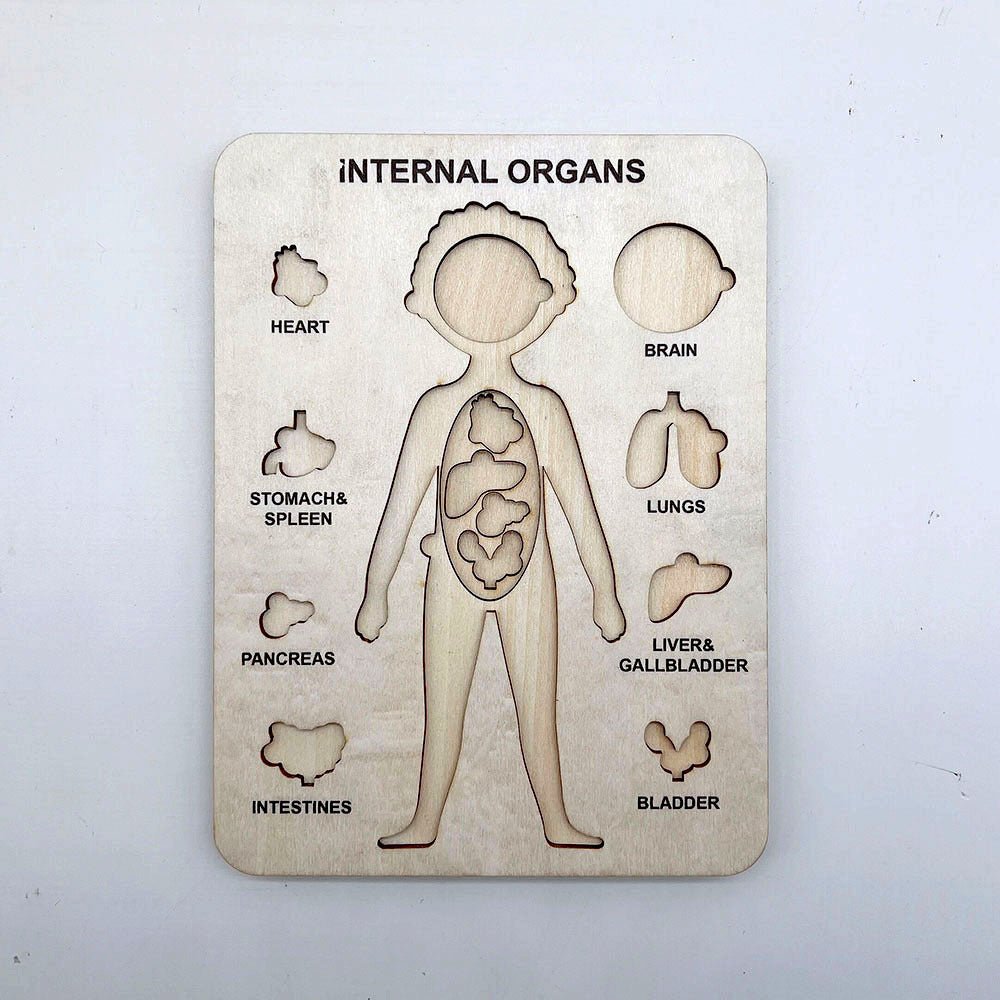 Human Organ Matching Puzzle - Woodwork Toys