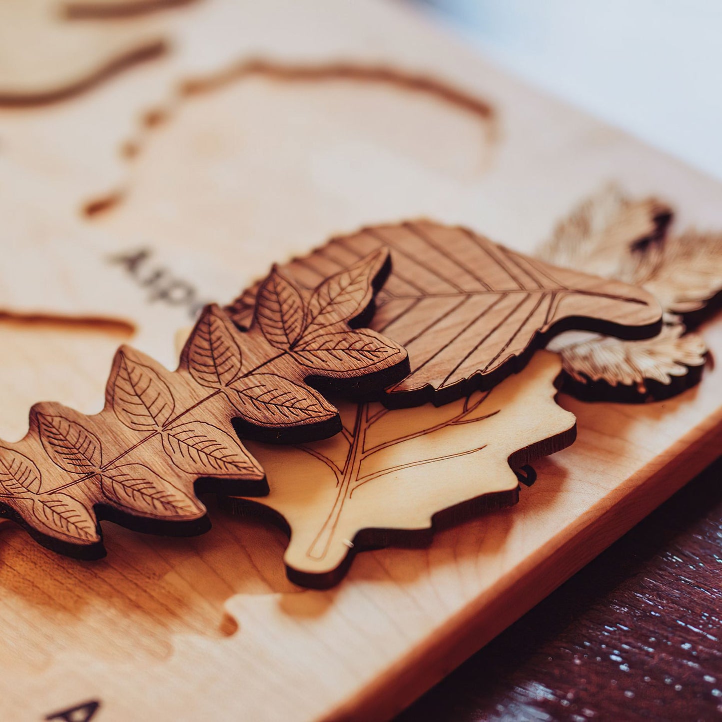 Leaf Specimen Puzzle - Woodwork Toys