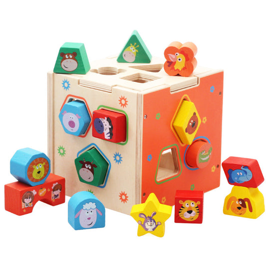 Shape Matching Intelligence Box - Woodwork Toys