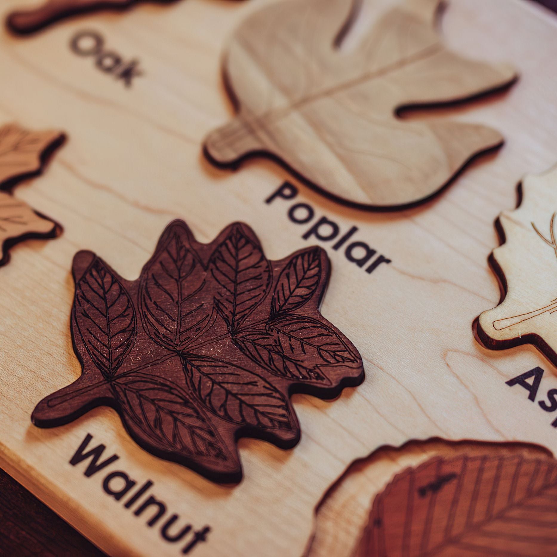 Leaf Specimen Puzzle - Woodwork Toys