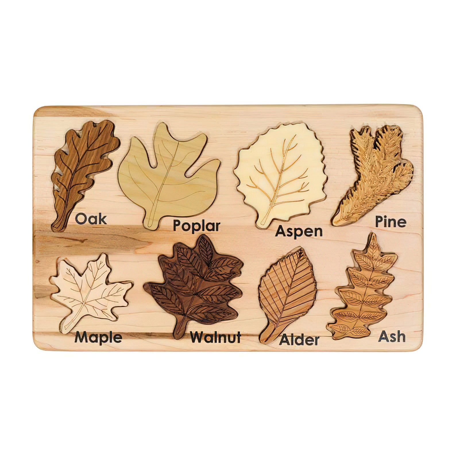 Leaf Specimen Puzzle - Woodwork Toys