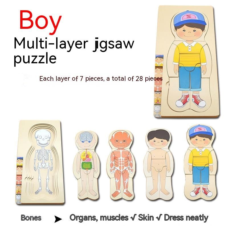 5 Layer Wooden Body Structure Puzzle - Woodwork Toys