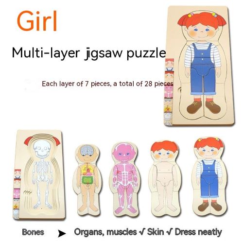 5 Layer Wooden Body Structure Puzzle - Woodwork Toys